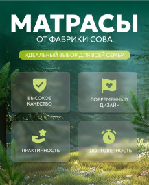 Элит 6