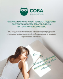 Элит 6