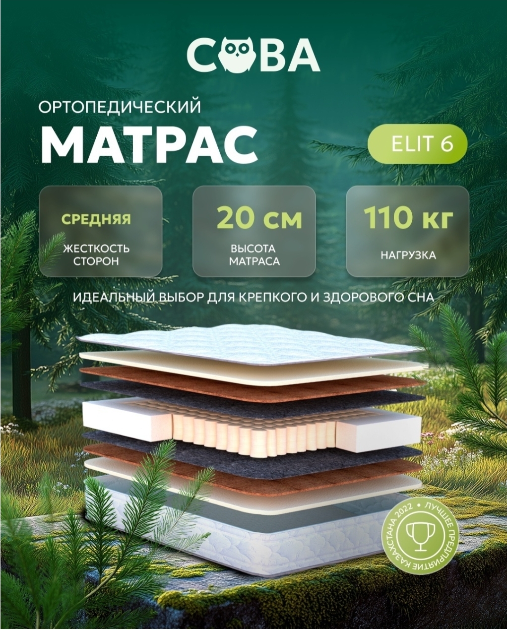 Элит 6